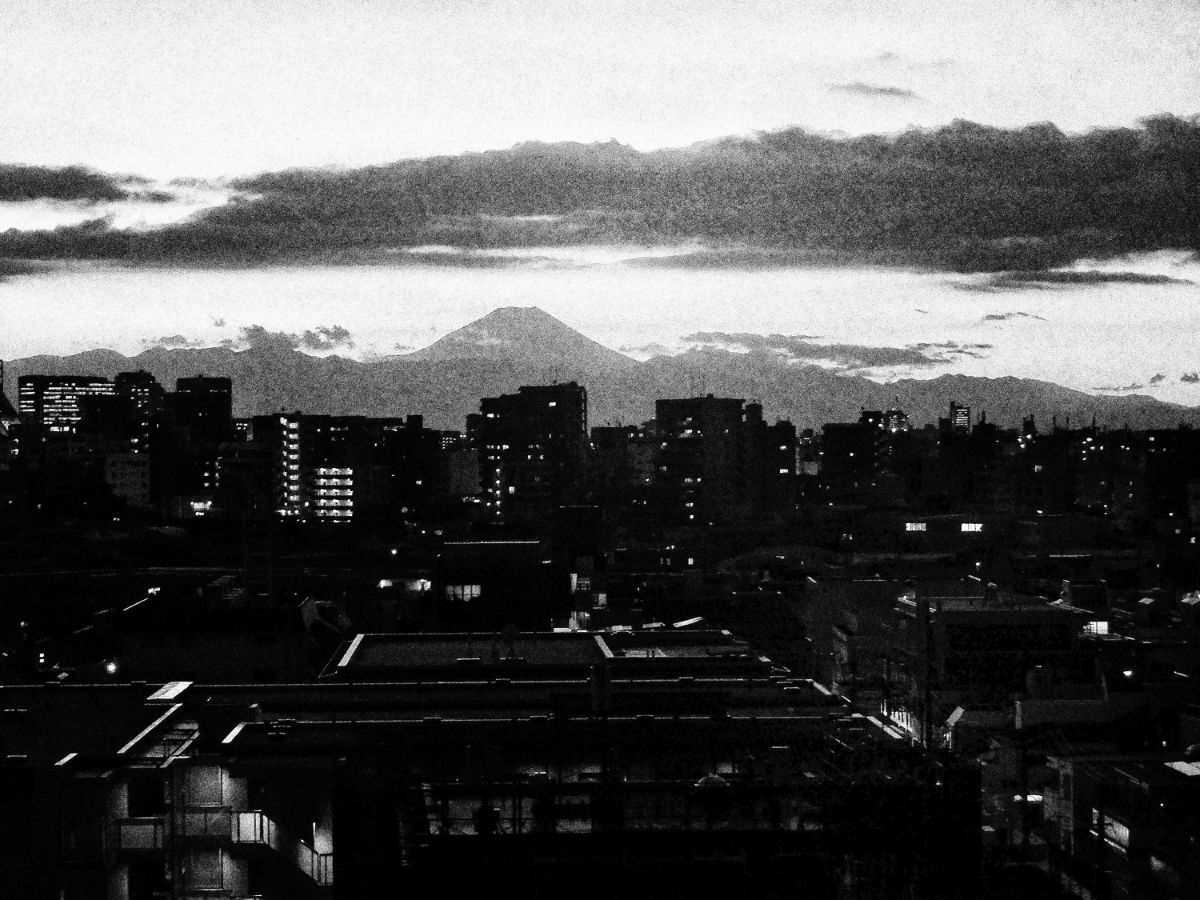 © Daido Moriyama