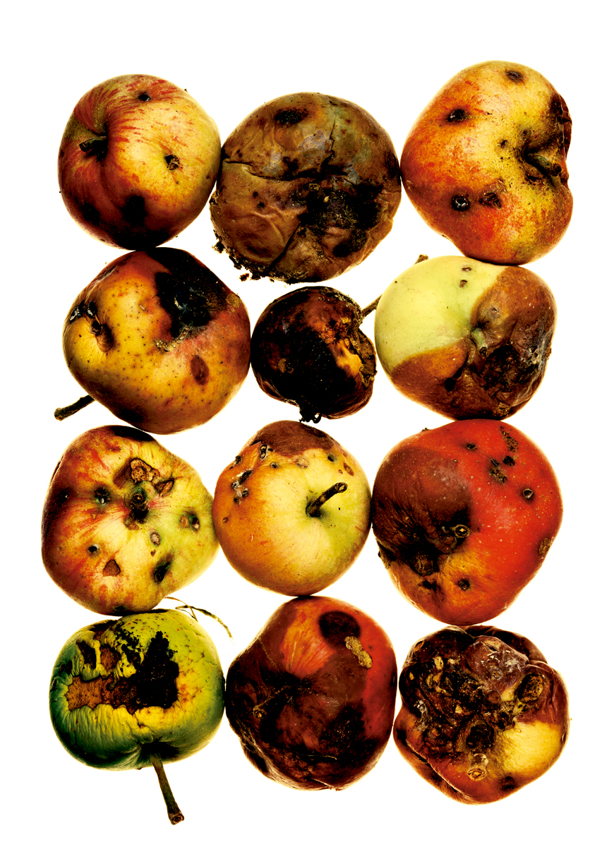 © Irving Penn