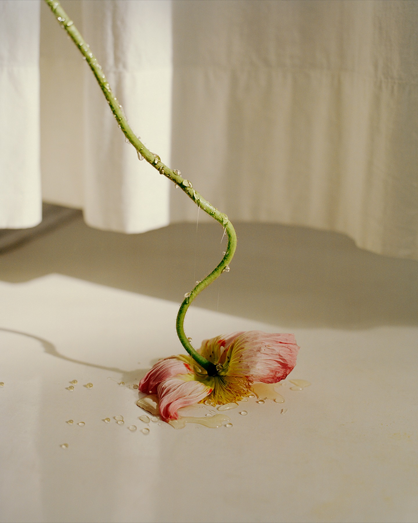 © Bea De Giacomo