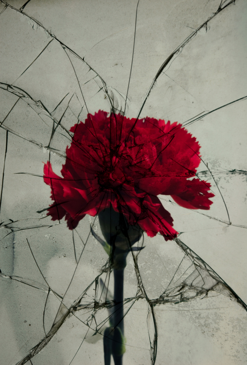 Artwork de João Oliveira