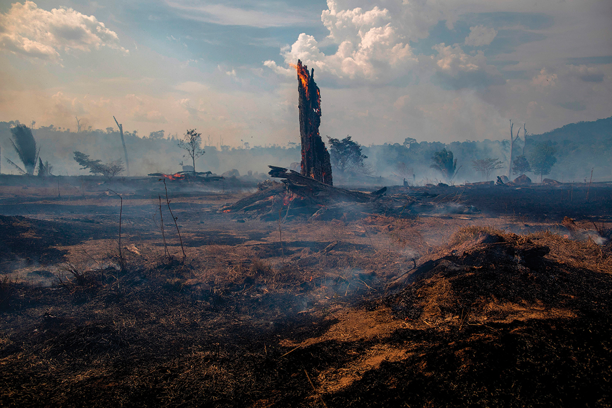 Uma das áreas ardidas durante os incêndios na floresta da Amazónia, no Brasil, agosto de 2019. ©Getty Images