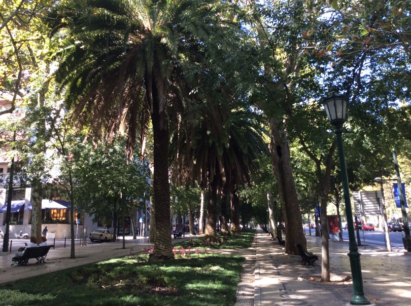 Avenida da Liberdade, Lisboa