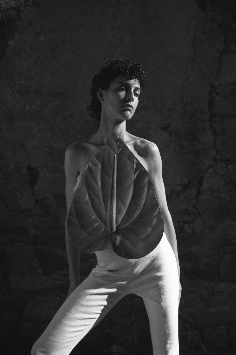 Top, LOEWE. Calças, SPORTMAX.