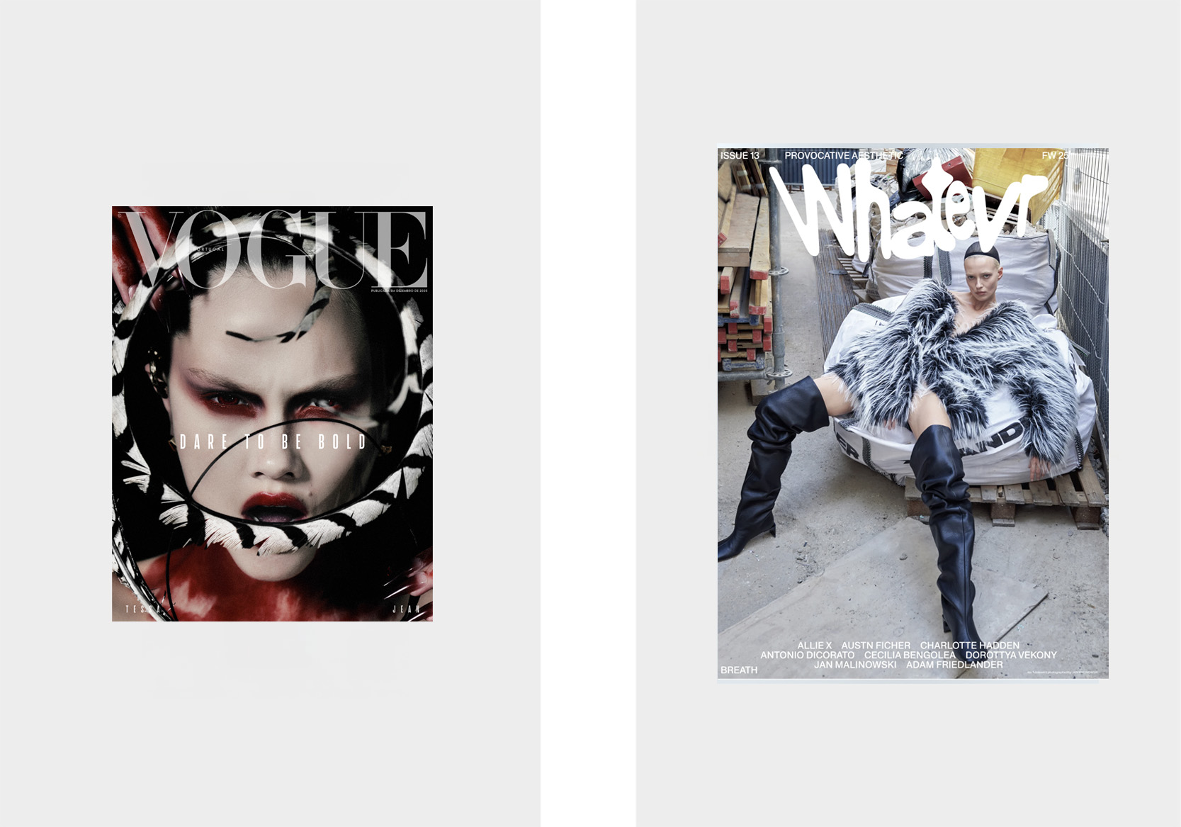 Vogue Portugal N°266, The Bold Issue, € 10, em shop.light-house.pt; WHATEVR N°13, € 28, em whatevrfanzine.com.