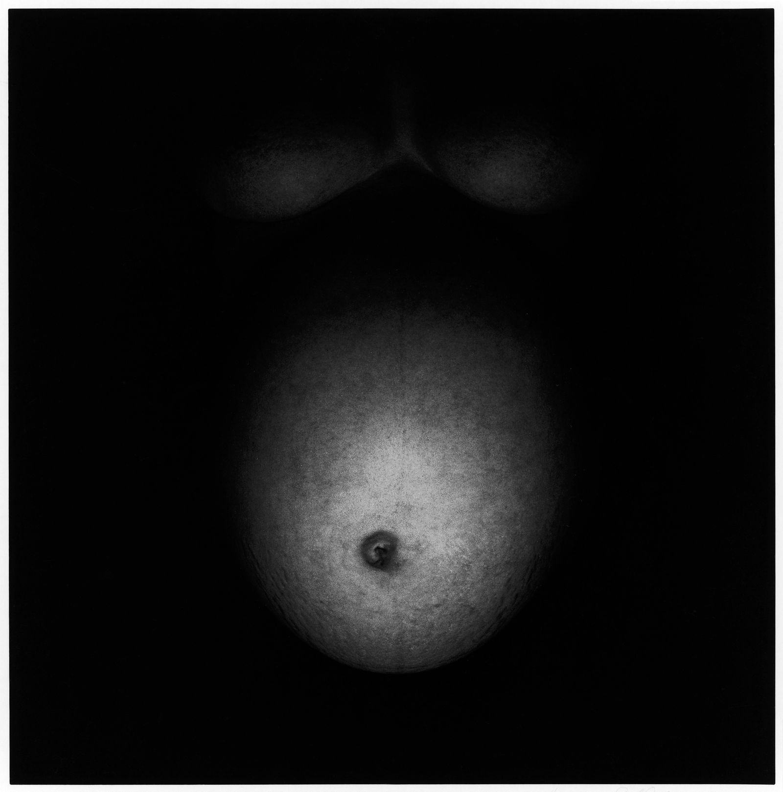 O corpo grávido: Eleanor, Harry Callahan (americano, 1912–1999), 1949; Doação de Joyce e Robert Menschel, 1991 (1991.1304). © The Estate of Harry Callahan; Cortesia Pace/MacGill Gallery, Nova Iorque