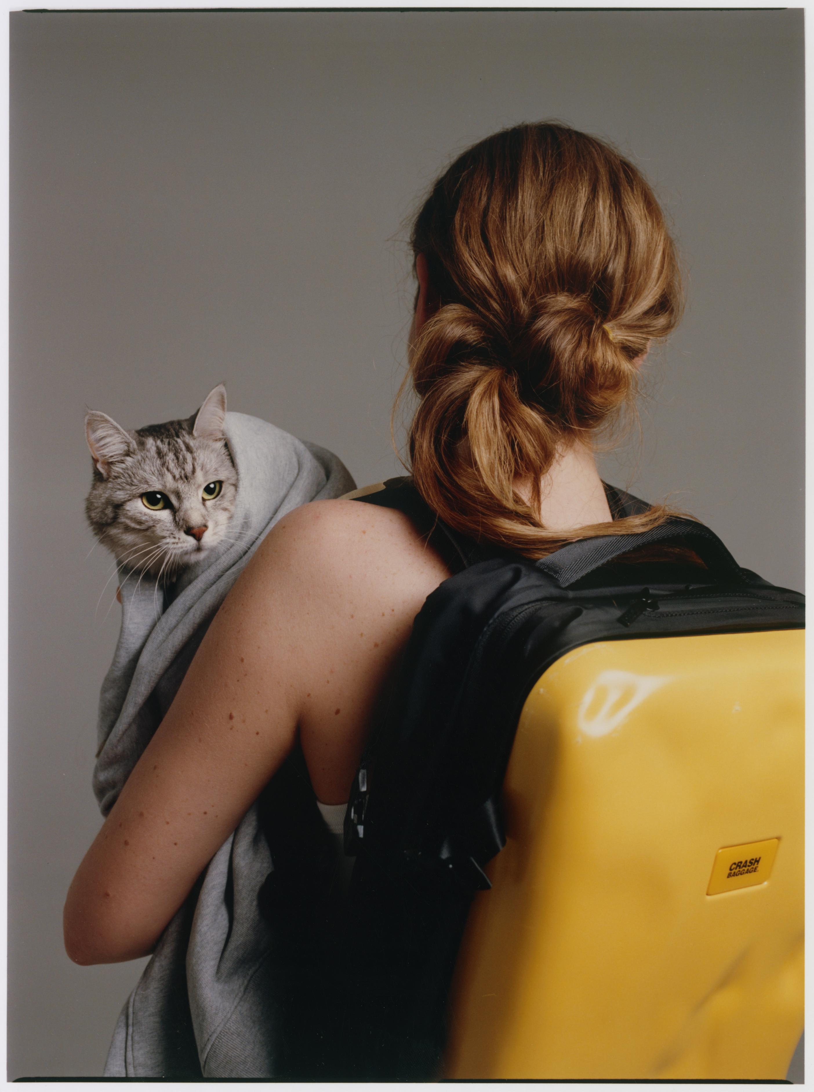 Camisola (no gato), HELMUT LANG. Mochila, CRASH BAGGAGE.
