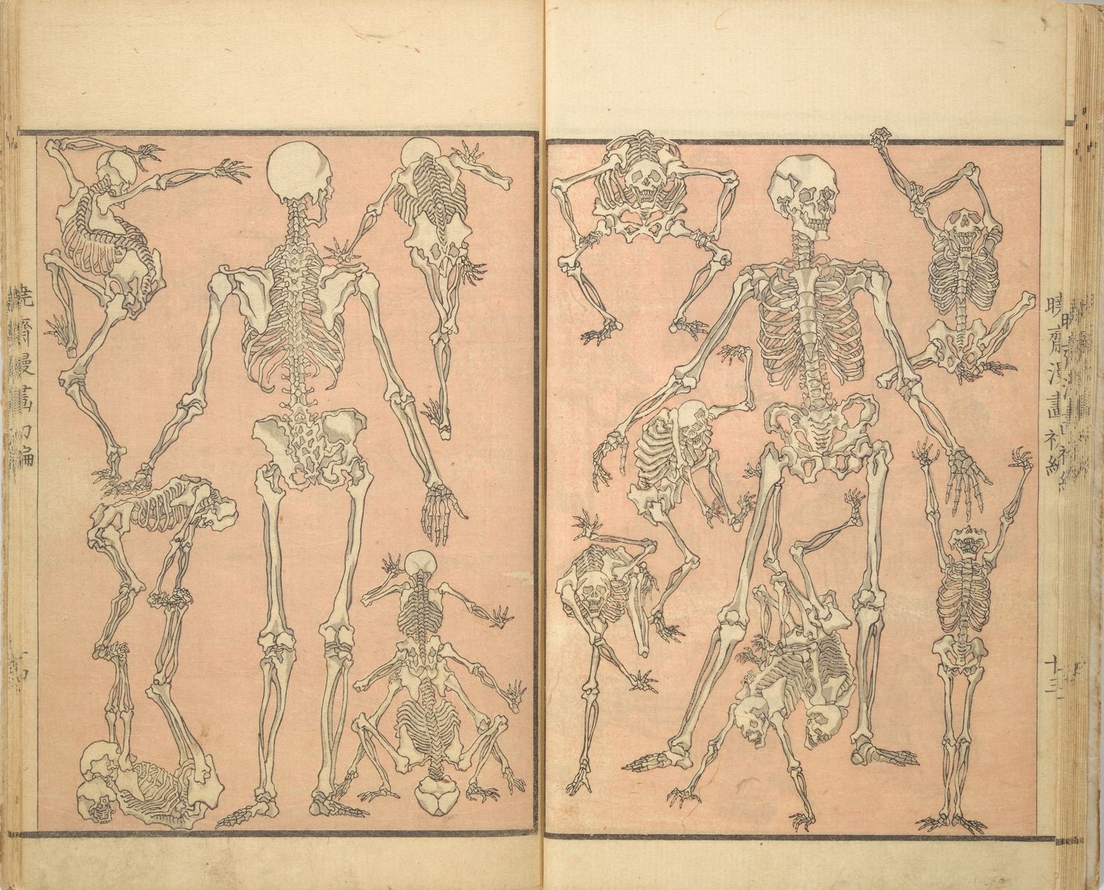 O Corpo Mortal: Caderno de esboços de Kyōsai (Kyōsai manga) 暁斎漫画, Kawanabe Kyōsai 河鍋暁斎 (japonês, 1831–1889), período Meiji (1868–1912), 1881 (Meiji 14); Aquisição, Doação da Fundação Mary e James G. Wallach, 2013 (2013.765)