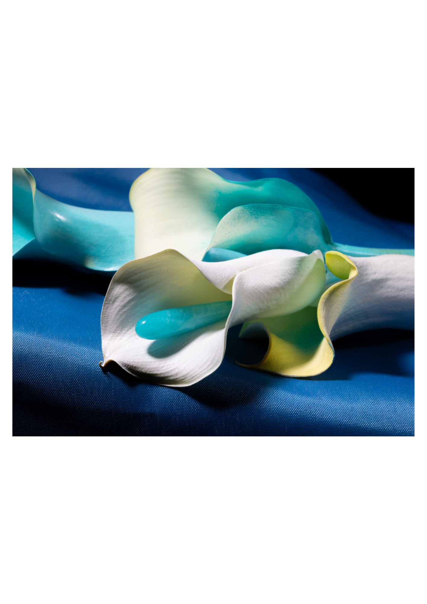 Vestido, JOANA MICHAELA; Brincos, STUDIO LELUSH.