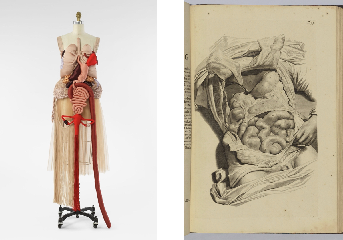 Esquerda: Conjunto Corset Anatomia da coleção SS25, Renata Buzzo. Courtesia de Renata Buzzo. Direita: Chapa 33 na Govard Bidloo, Ontleading des menschlyken Lichaems, Abraham Blooteling e Pieter van Gunst. Segundo Gerard de Lairesse; doação de Lincoln Kirstein.