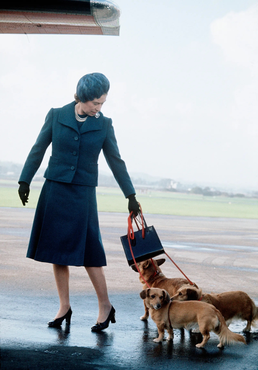 Queen Elizabeth ll arrives at Aberdeen Airport with her corgis in 1974. © Getty Images