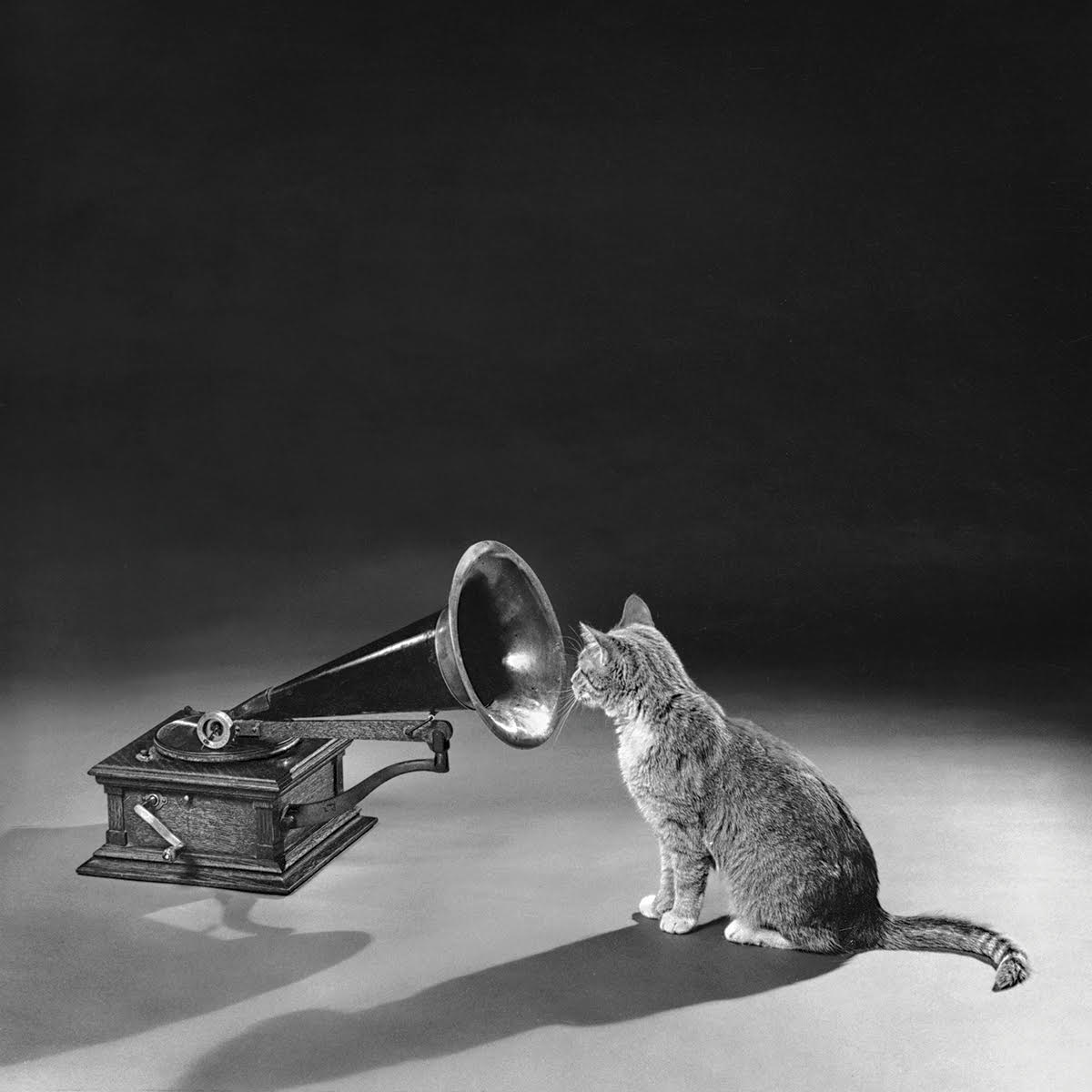 © Artwork: John Kisch Archive/Getty Images