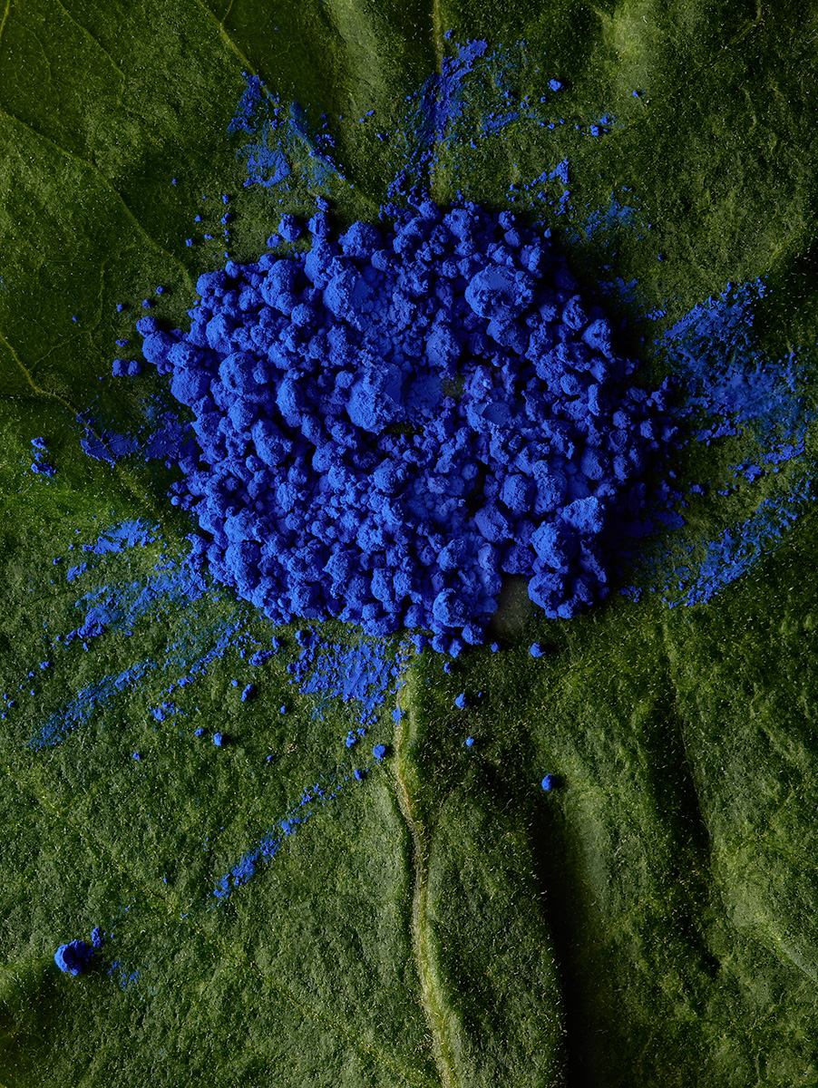 Natureza Alterada. Impressão fotográfica, montada em plexiglass e moldura de madeira (120 x 160 cm).