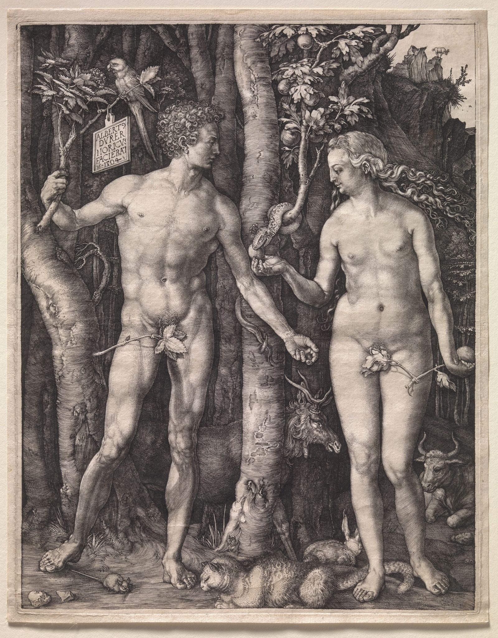 O corpo nu: Adão e Eva, Albrecht Dürer (alemão, 1471–1528), 1504; Fundo Fletcher, 1919 (19.73.1)