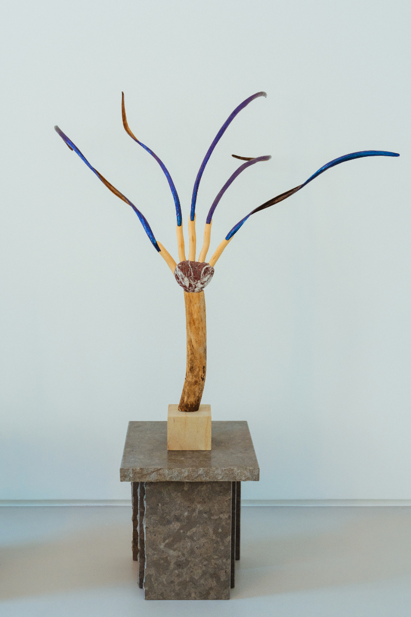 Catalpa Nails (2023), Katarzyna Przezwanska